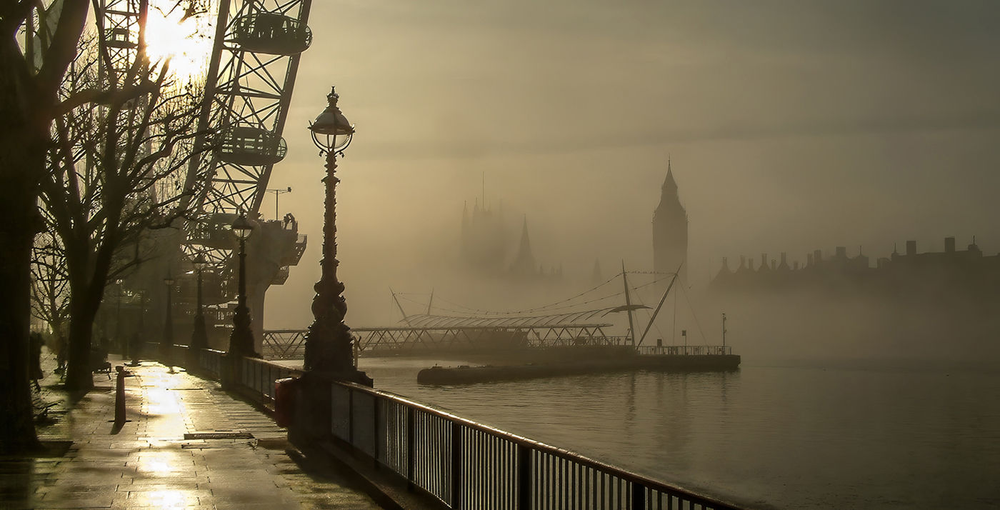 The Palace of Westminster from the Embankment, London by Richard Murrin