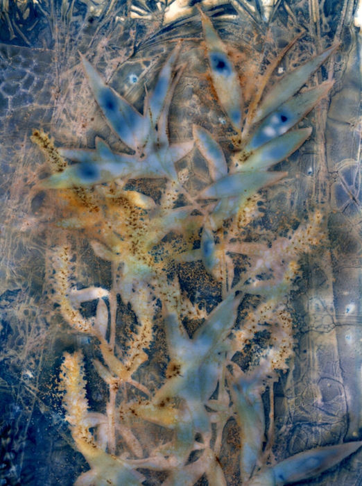 Joseph Gattulli (Plainview, NY) - Untitled #54