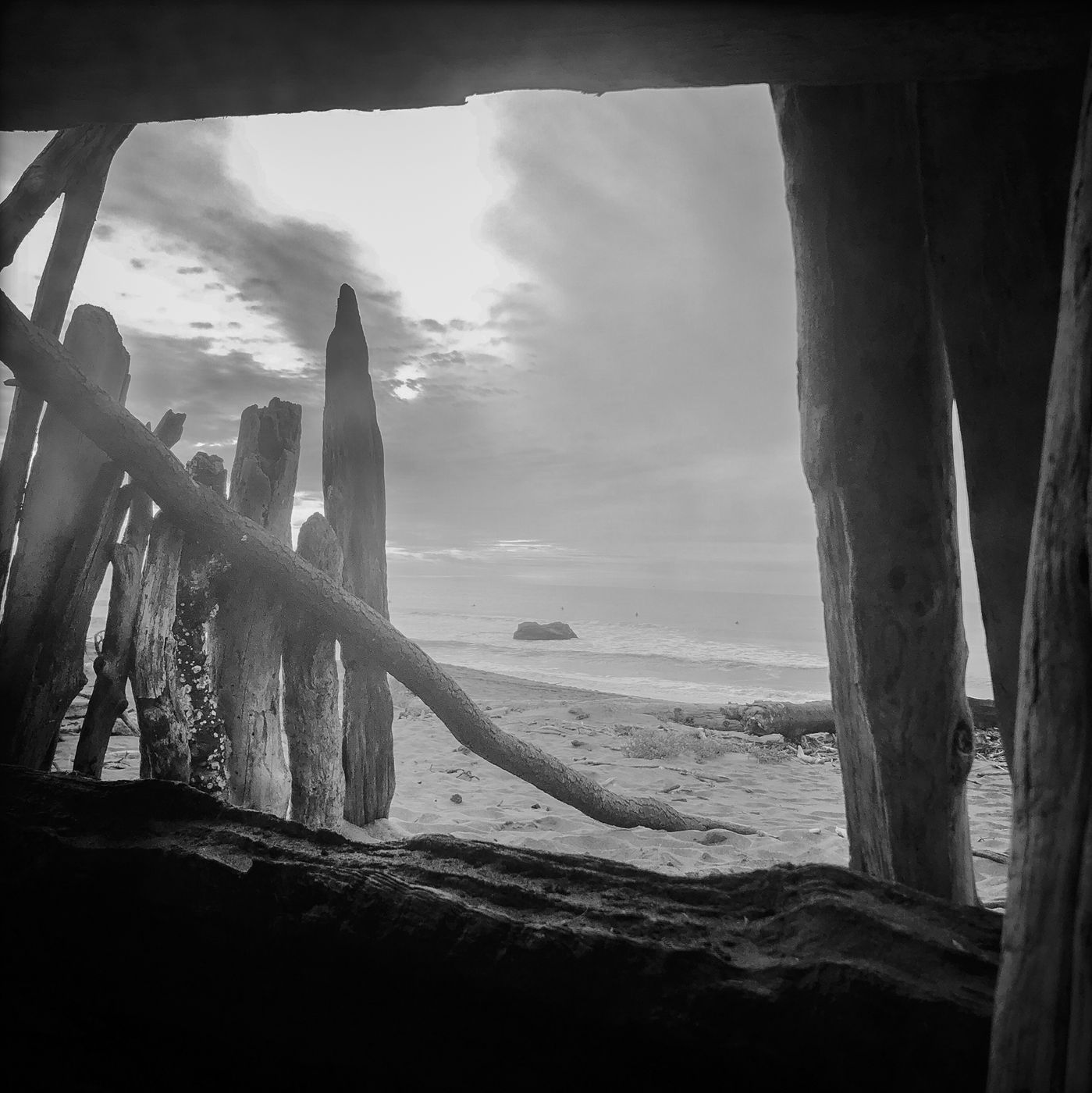 Western Front by Sena Clara Creston