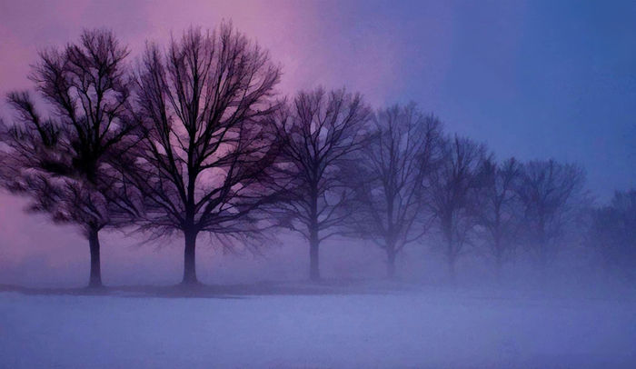 Valerie Dyer - Pastel Winter Hush