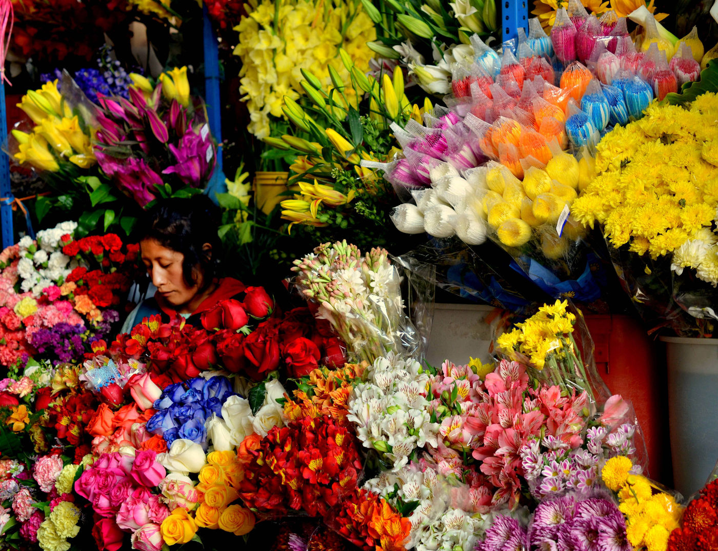Drowned in flowers by Ed Figueiredo