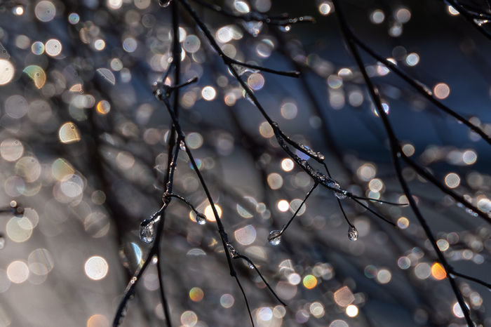 Dreamscapes