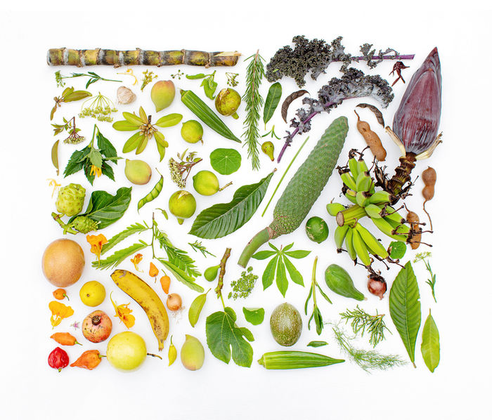 Botanicals