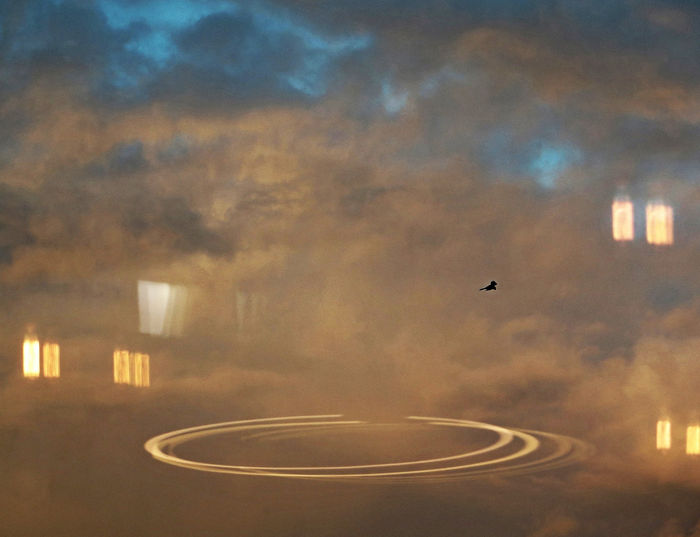 Circle Rigidly - Matthias Krispien