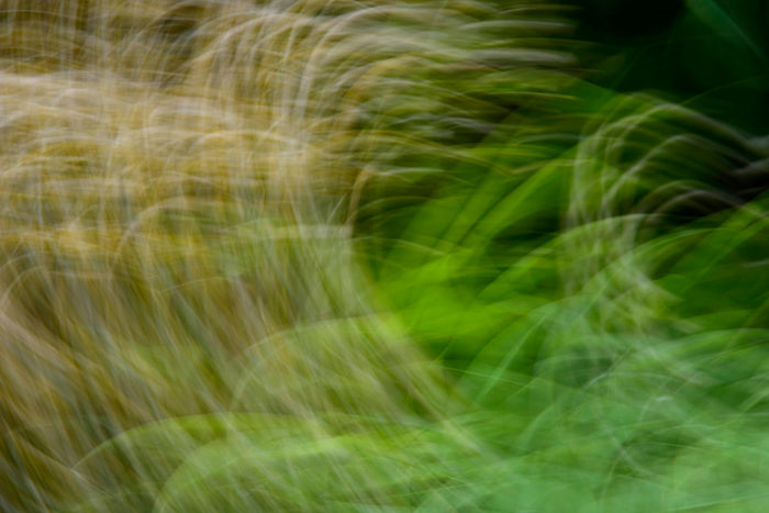 Luca Scarpelli - Abstract Nature 62 - Slowly Rolling Camera 22