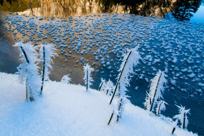 Misha Rauchwerger - ICE TREES AND STARS