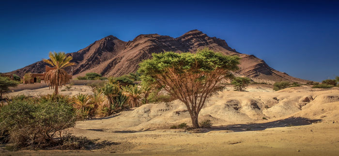 Sahara