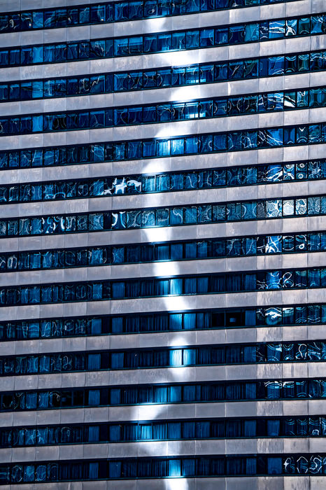 Will Shotwell - Electric Blue