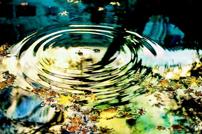 Photograph by Atsumi Takemoto, 17 of 20