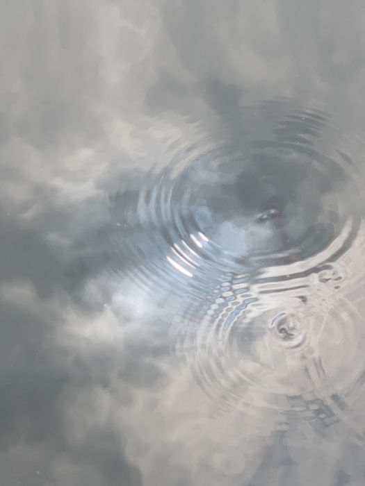 Martin Johnson - Looking down, Looking up