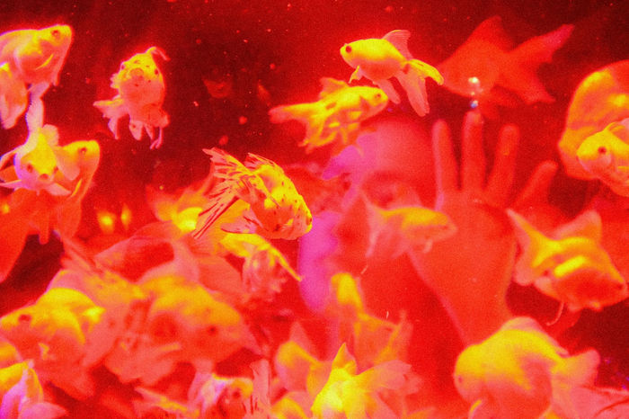 Photograph by Atsumi Takemoto, 12 of 20