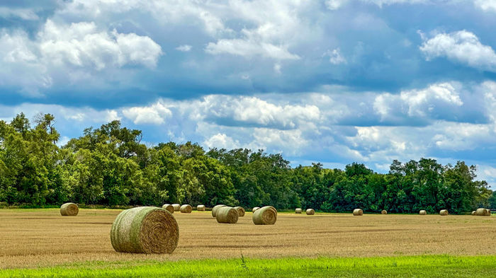 Landscapes
