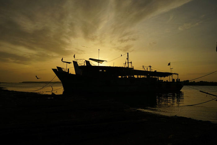 SARAVANAN ARUNACHALAM (Cuddalore, India) - SILHOUETTE—SEASHORE