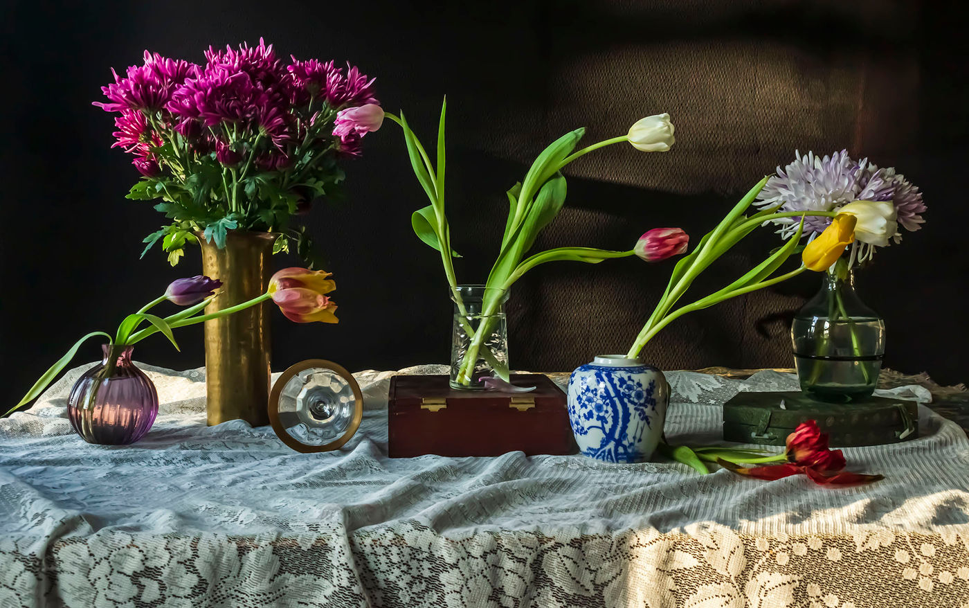 Chiaroscuro Tulips 5 by Andrea Zinn