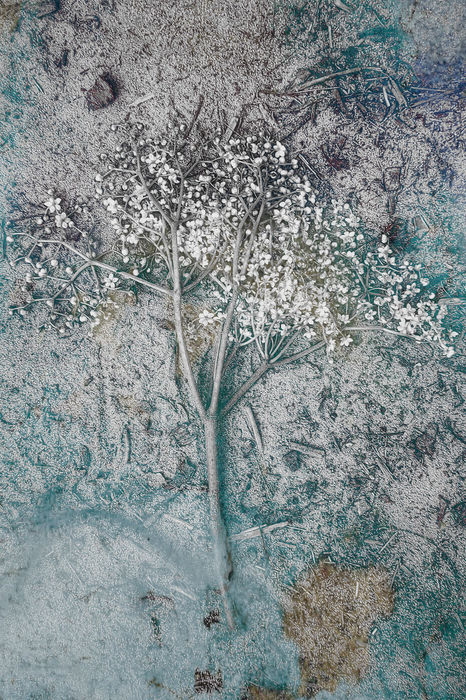 Marina Yevtushyk (Kyiv, Ukraine) - CRUSHED BEAUTY