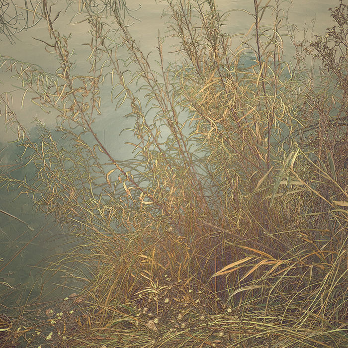 Botanicals