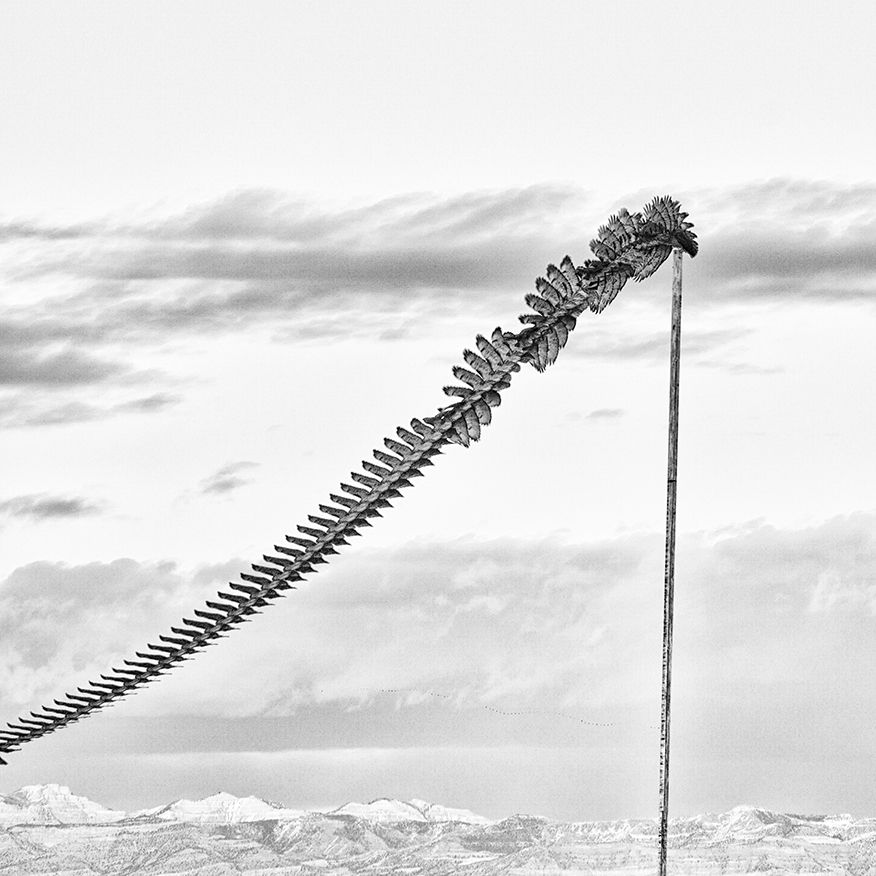 Pole Dance by Robb Reece