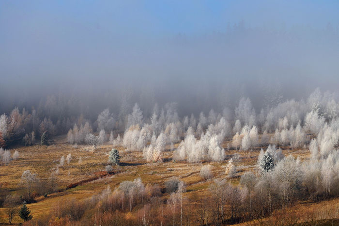 Landscapes