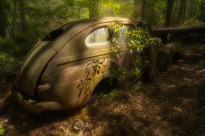Sara Pinkus (Bensalem, PA) - End of the Road