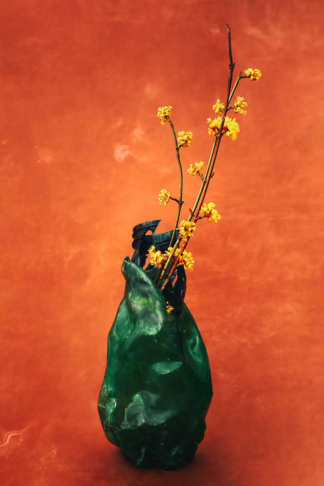 Flowers & plastic 2 by Yulia Kapustynska
