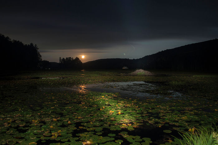 Kay Kenny - Beaver Pond