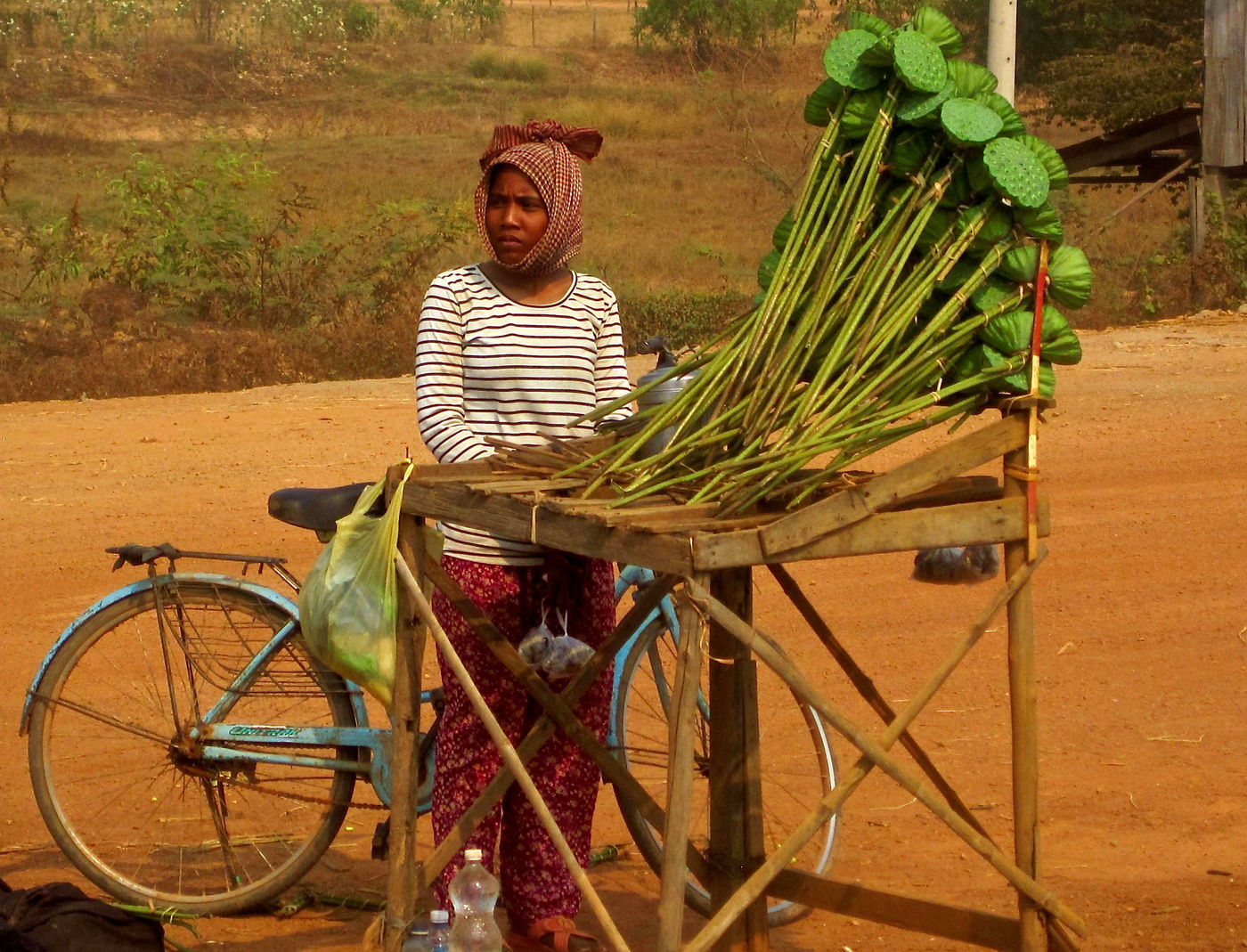 Roadside Vendor by Robyn Garnett