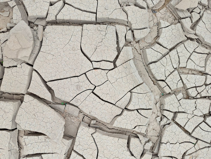 Patterns in the Wild