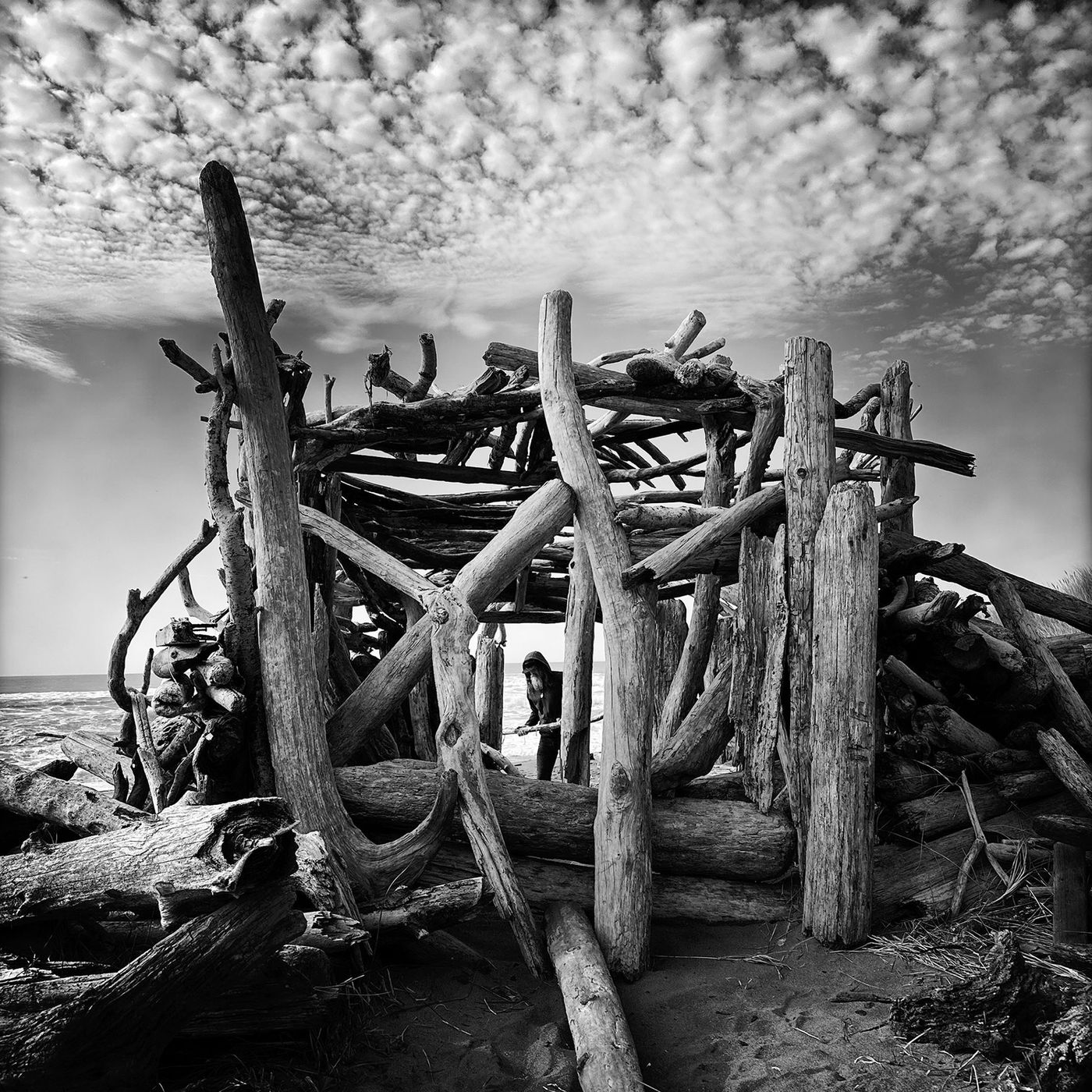 Pockmarked Portal by Sena Clara Creston