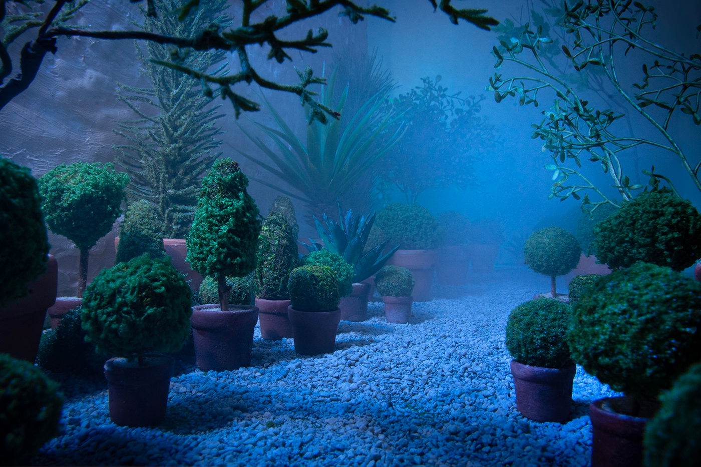 Hothouse Haze by Carrie Becker