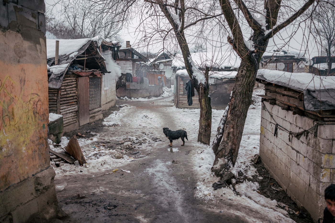 Streets In the Settlement by Manuela Federl