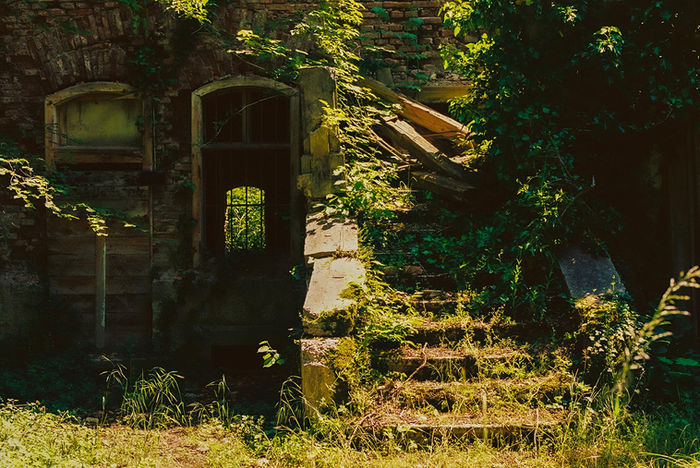 Mojca Pavlic - Ruins