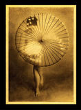 Lynn Bianchi