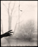 Ann M. Jastrab