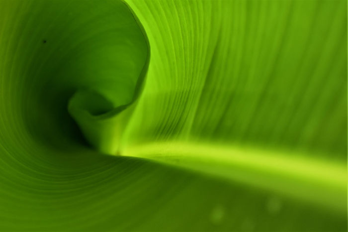 Flash #19 - Macro