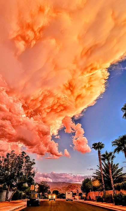Edwin Liew-Ferguson (USA) - Palm Spring Skies