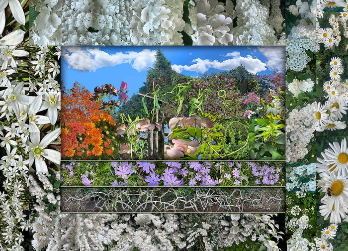 Amy Madwed - Pollinators Paradise