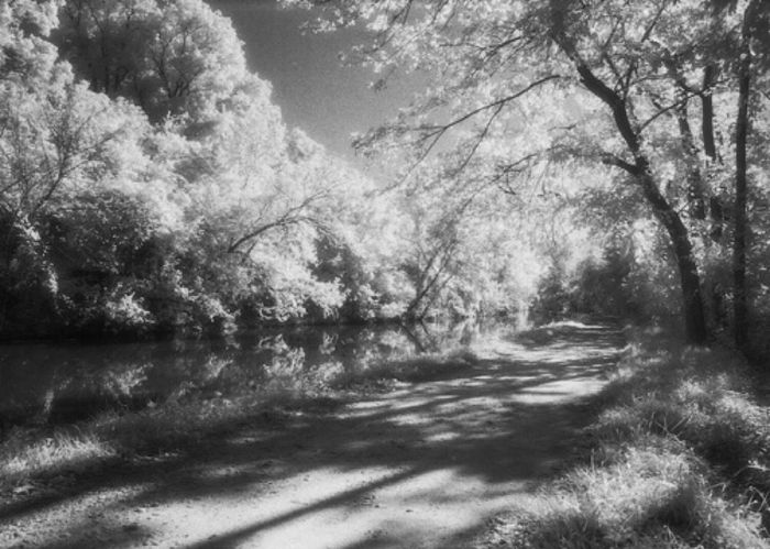 Carolyn Rogers - Canal Dreaming