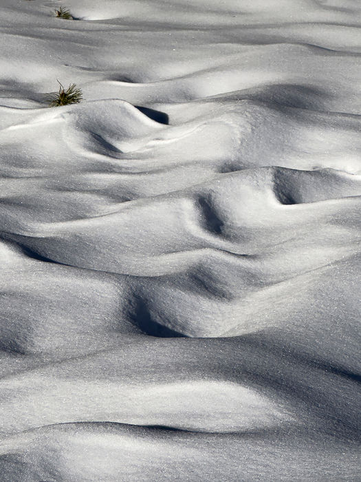 Becky Chapman - Snow Dunes 3548
