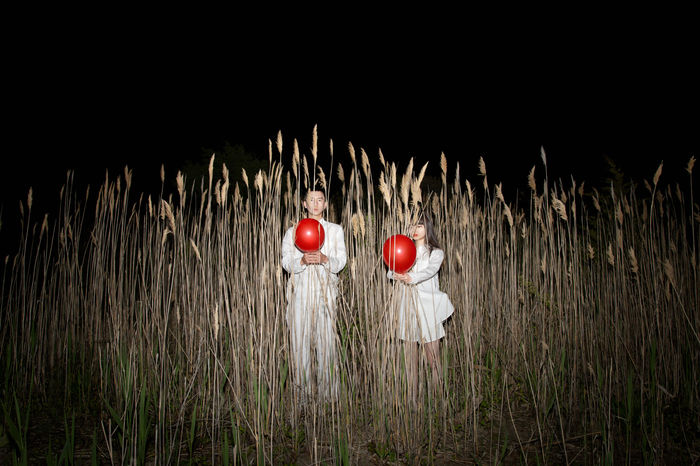 Lifu Hu (USA) - Untitled