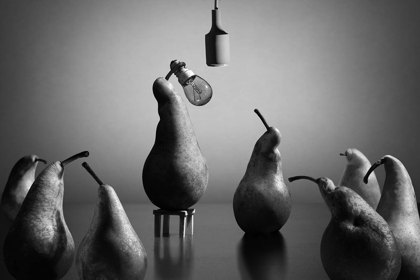 The Bulb by Victoria Glinka