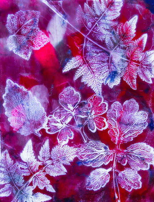 YULIA KAPUSTYNSKA (Kyiv, Ukraine) - MAGIC BOTANIC 12