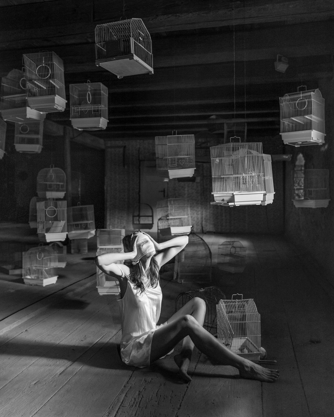 All The Birds Have Flown Away by Ivan Horvat