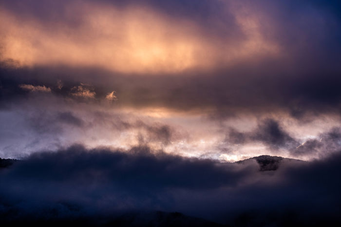 Dreamscapes