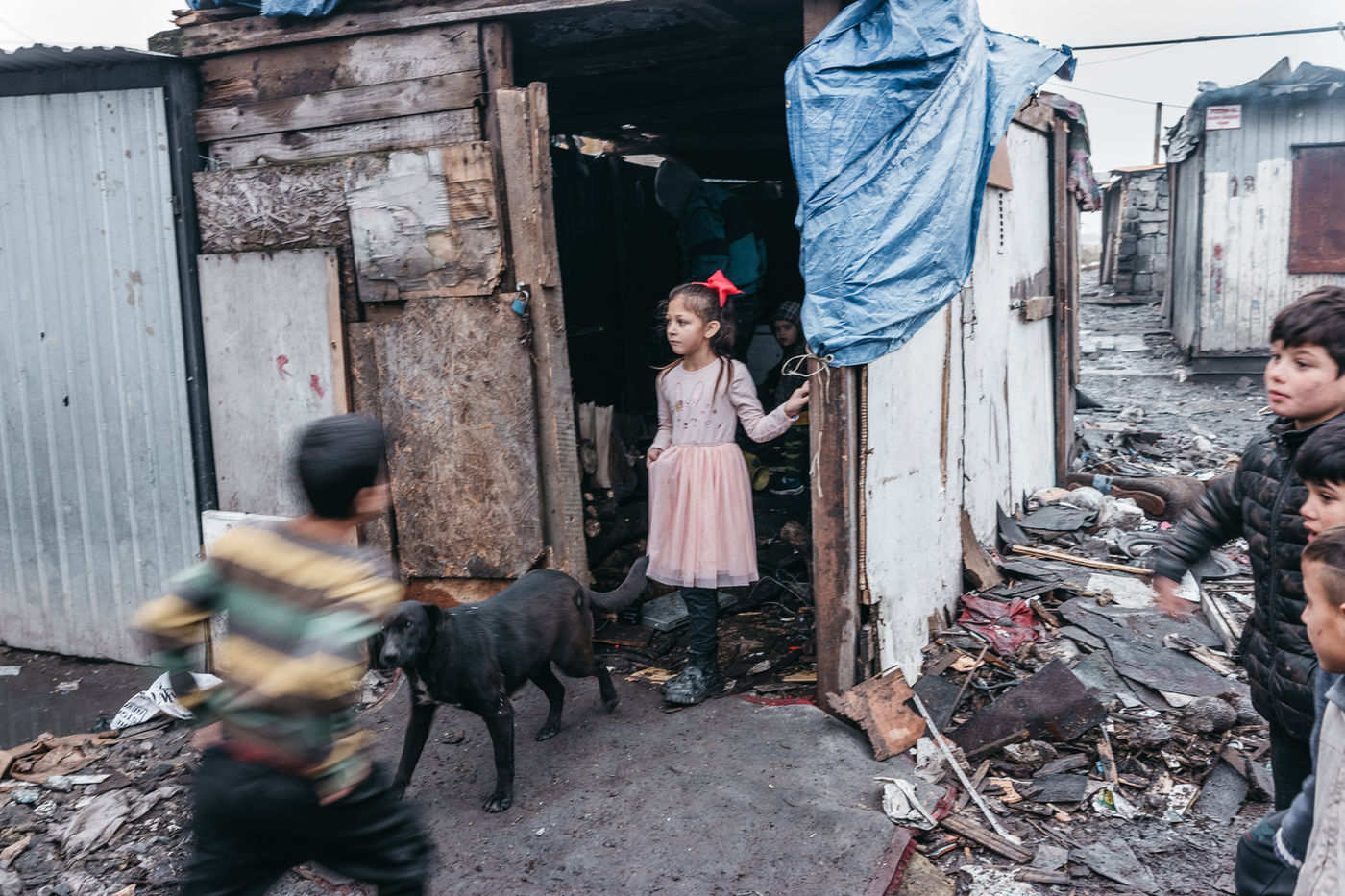 The Roma Princess by Manuela Federl