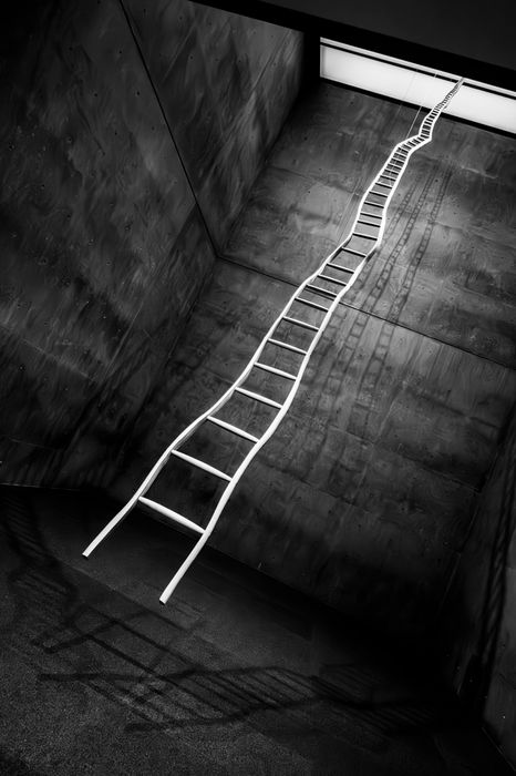 Fern Nesson (Cambridge, MA) - Portal 8