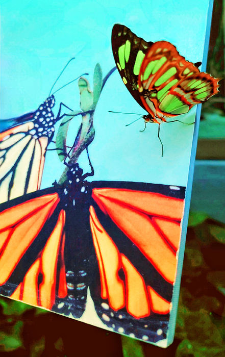 MYROSLAVA KARPYSHYN (Chicago, Illinois) - VIRTUAL FRIENDSHIP