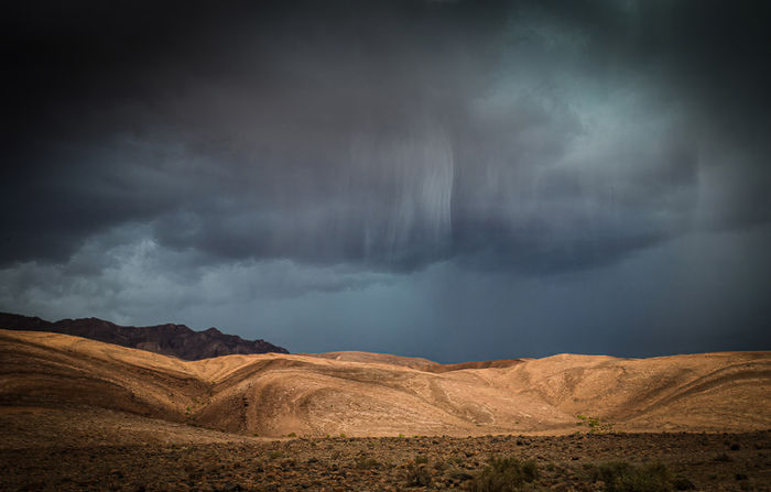 Sahara