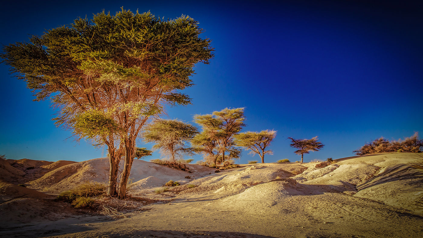 Borj Baramin Oasis, Icht, Morocco by Richard Murrin