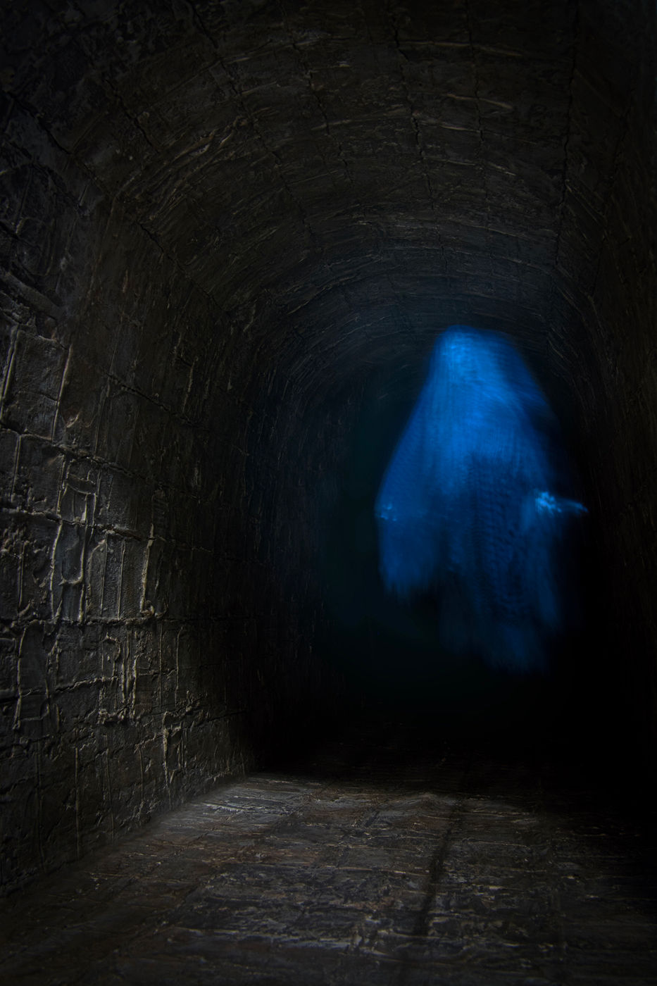 Tunnel Terror by Carrie Becker