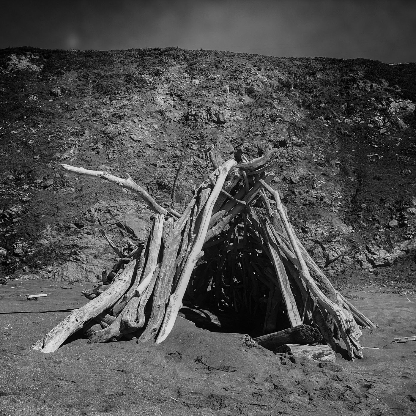Give Me Shelter by Sena Clara Creston